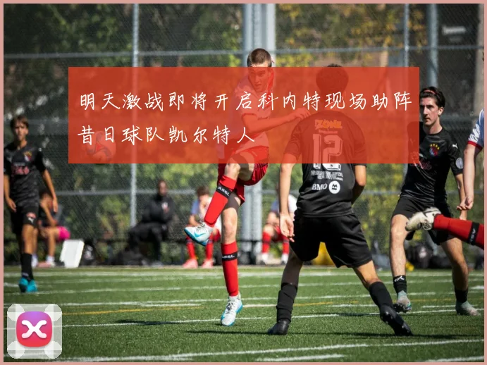 明天激战即将开启科内特现场助阵昔日球队凯尔特人